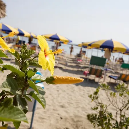 Hotel-residence- Le Dune Breakfast & Private Included Otel Lido Adriano