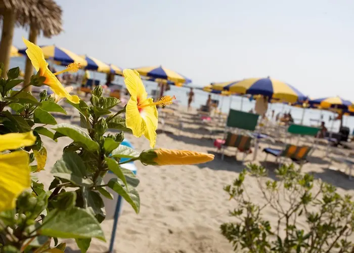 Hotel-residence- Le Dune Breakfast & Private Included Hotel Lido Adriano